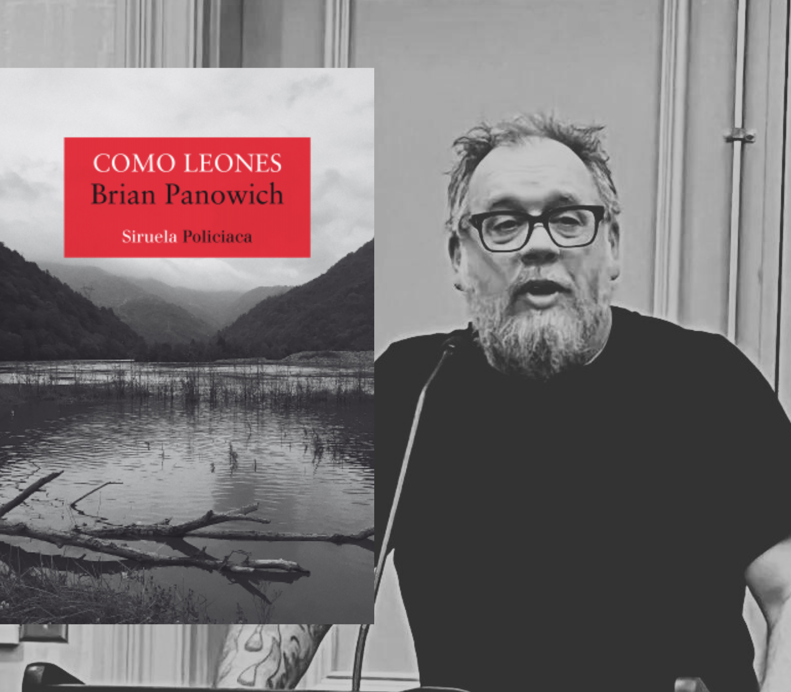 Como leones